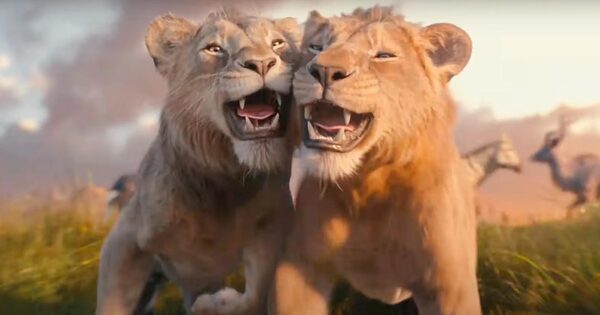 Mufasa o rei leão