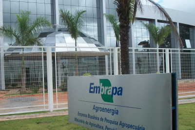 embrapa concurso
