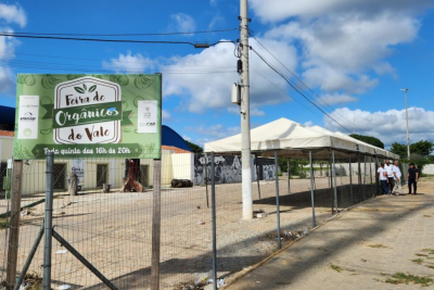 feira de orgânicos