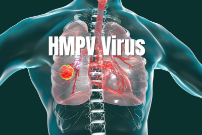 hmpv virus