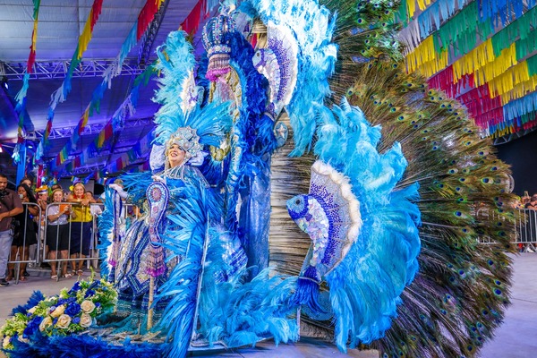 Concurso de Fantasias de Petrolina surpreende com talento e originalidade 4 Cultura 11 1