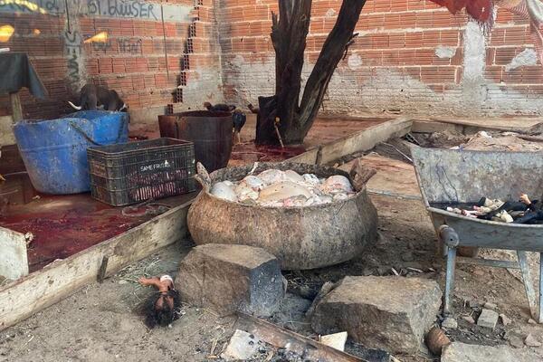 Operação conjunta desarticula abate clandestino em Petrolina