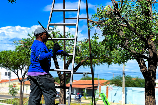 Com reforço na coleta e mutirões planejados, Juazeiro já beneficiou mais de 100 localidades 1 Sesp1 1