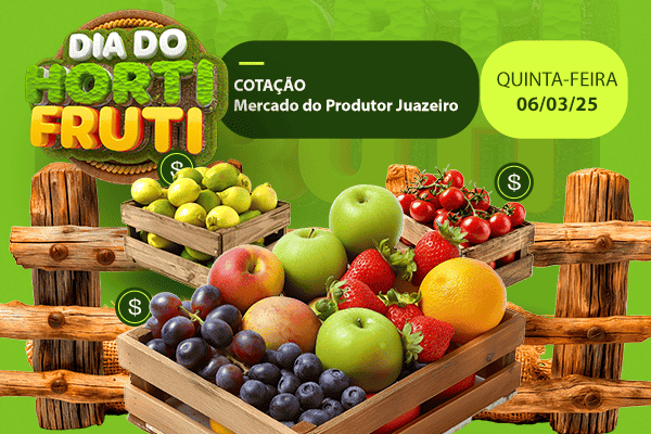 cotação mercado do produtor