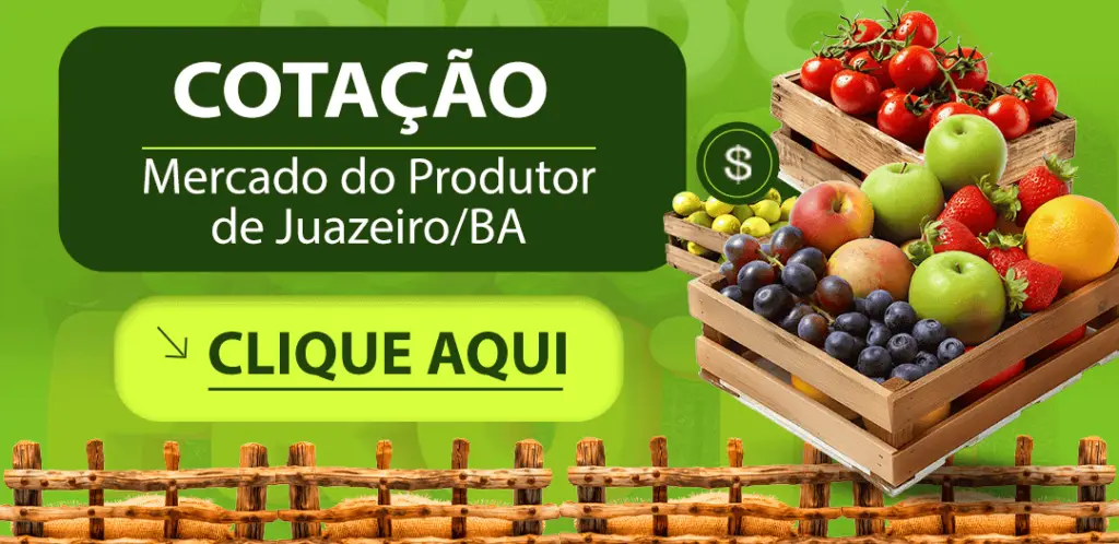 Cotação Mercado do Produtor Juazeiro Ba